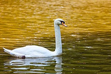 童年回忆《破碎与螺旋》Steam页面上线 2024年第三季度发售